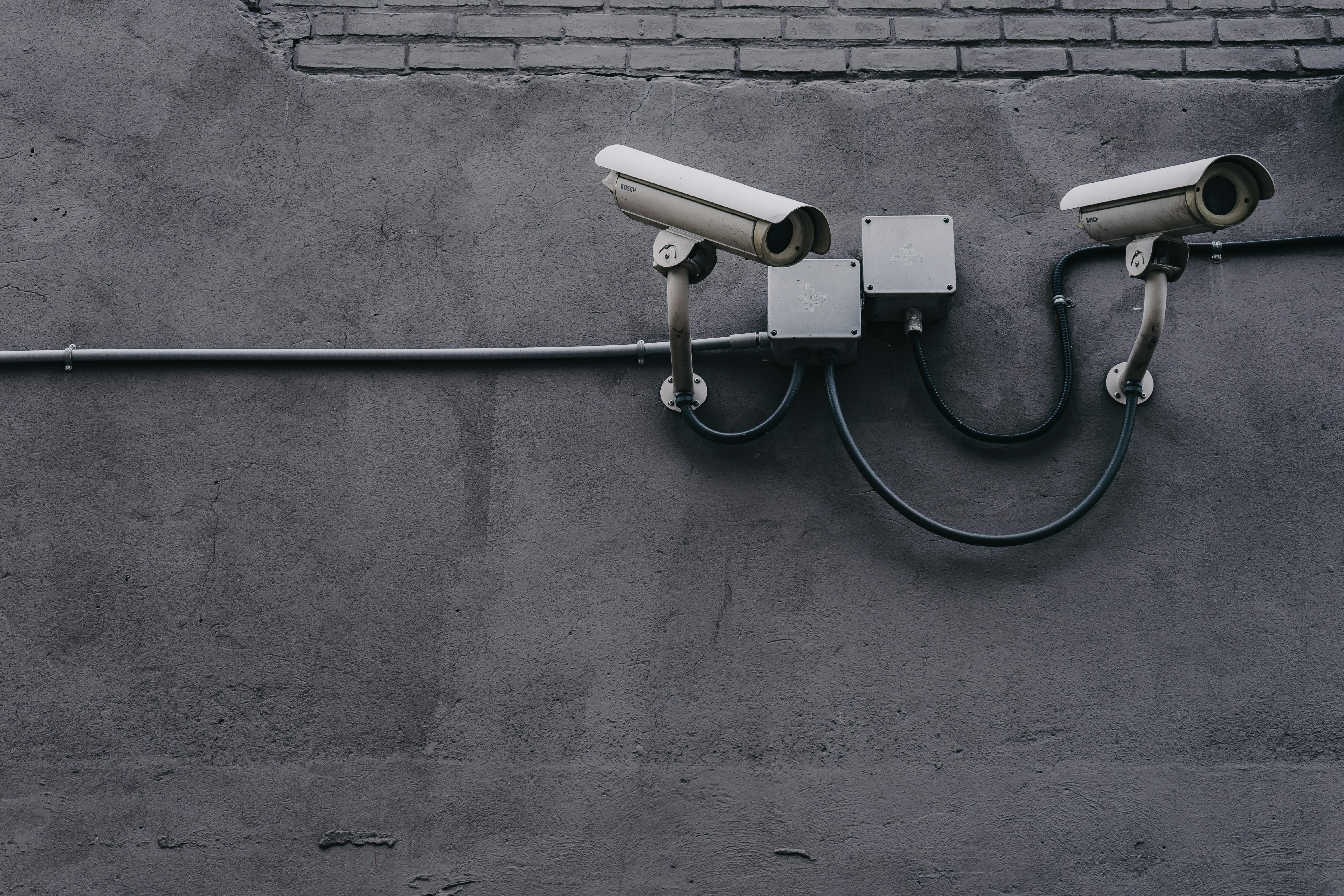Digital Watchdog